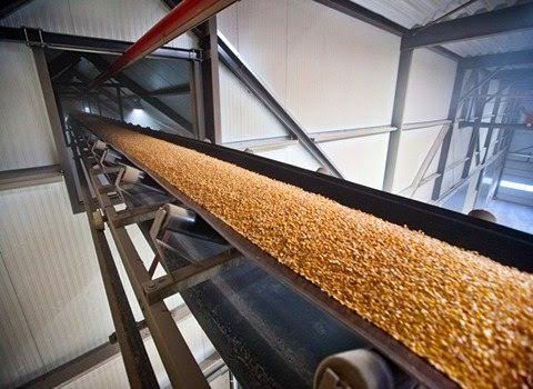 خرید نوار نقاله بارگیری گندم + طراحی سفارشی