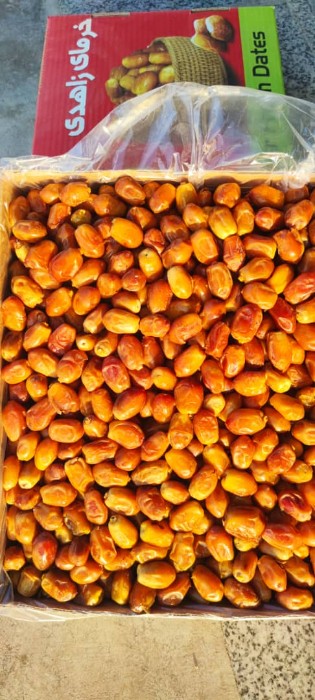 خرید خرمای زاهدی