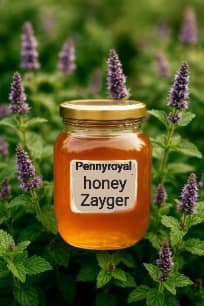 عسل شگفت انگیز عسل پونه کوهی زایگر + فروش استثنایی