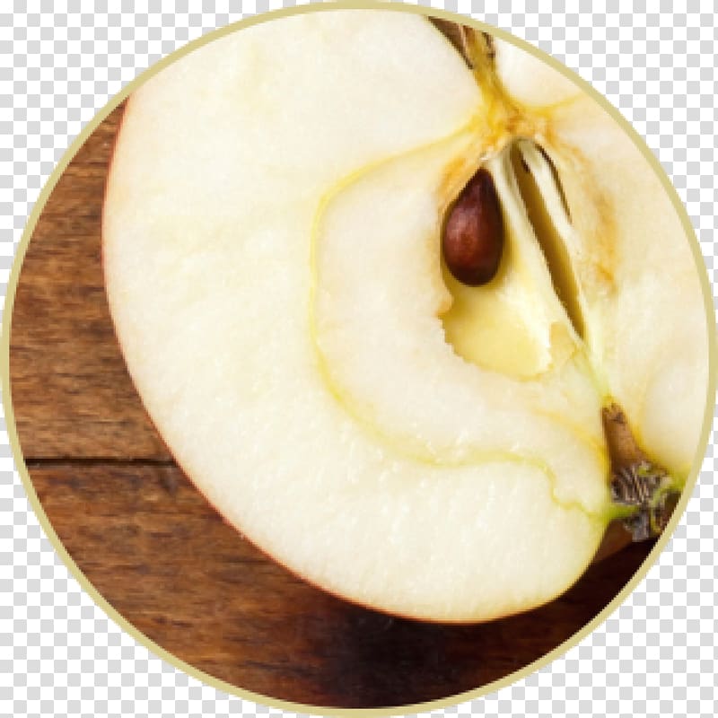خرید سیب خشک ممتاز طعم طبیعی و کیفیت بی نظیر