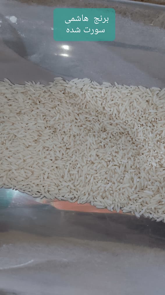 قیمت برنج هاشمی درجه یک گیلان