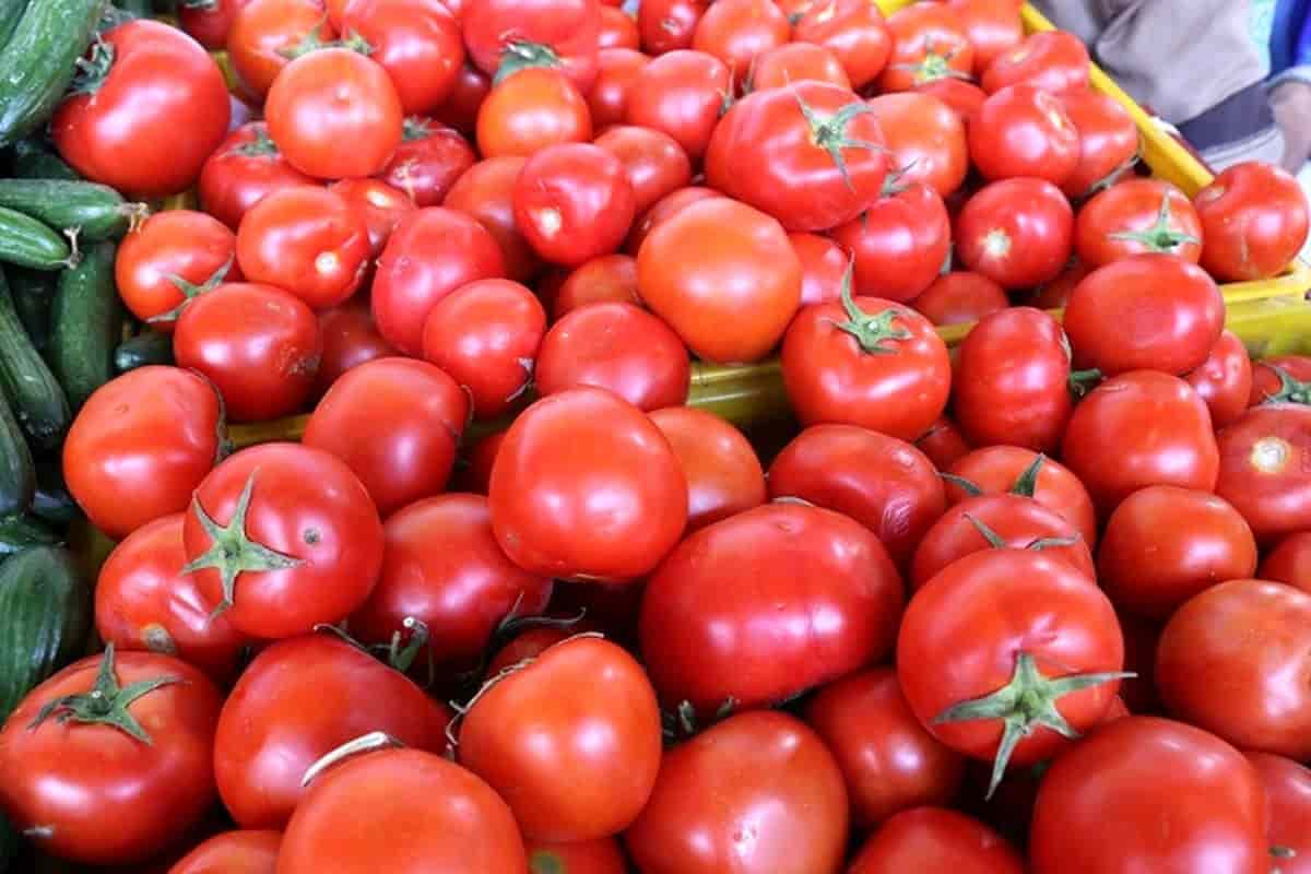 قیمت گوجه ربی با کیفیت ارزان + خرید عمده