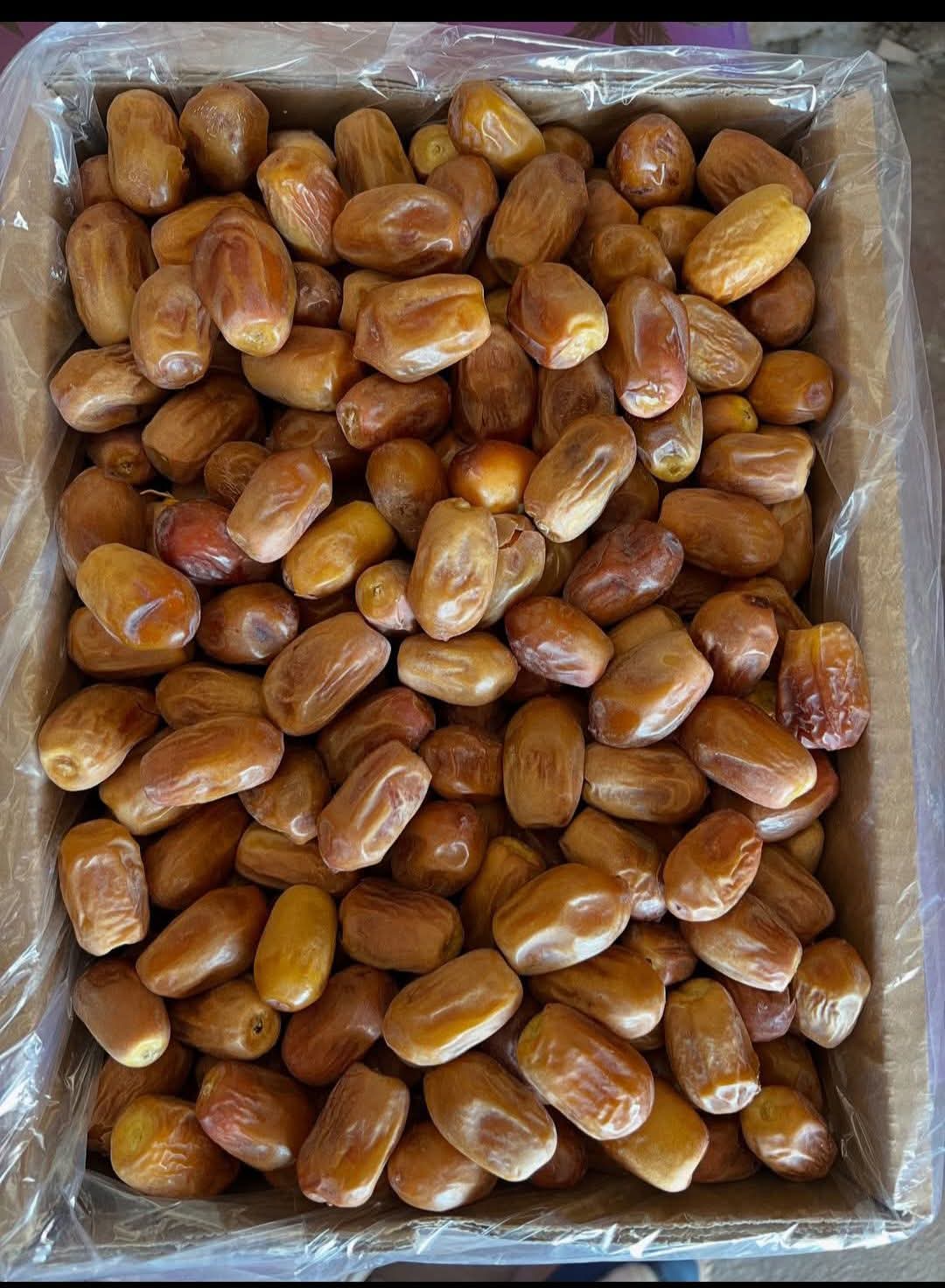 خرید انواع خرما زاهدی بهترین کیفیت صادراتی درجه یک