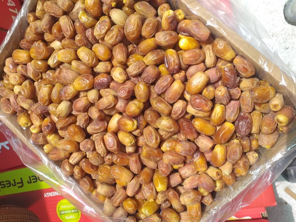 تصویر 2 از فروش قیمت انواع خرما زاهدی استان بوشهر بهترین کیفیت صادراتی