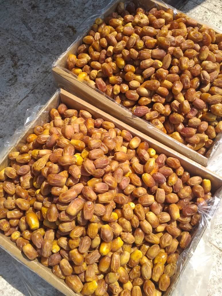 تصویر 3 از فروش قیمت انواع خرما زاهدی استان بوشهر بهترین کیفیت صادراتی