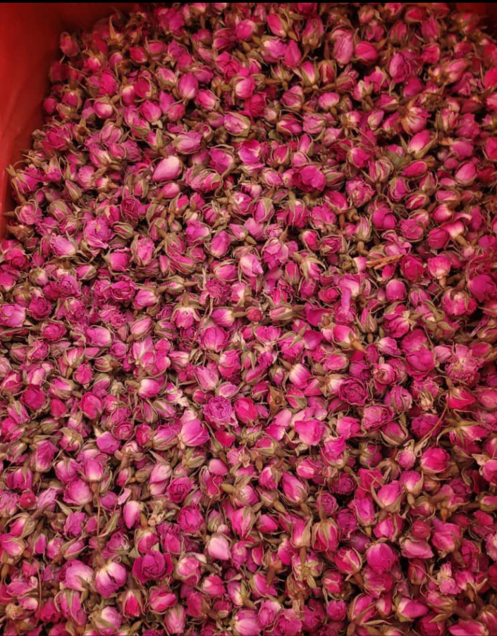 عمده فروشی انواع غنچه گل محمدی + کیفیت عالی