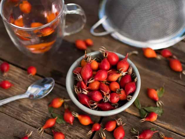 خرید عمده میوه نسترن صادراتی با کیفیت ممتاز