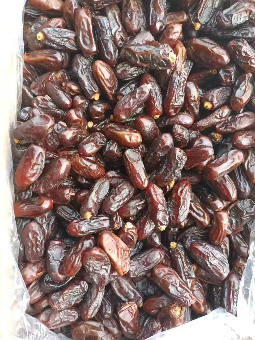 فروش ویژه خرما استعمران خوزستان