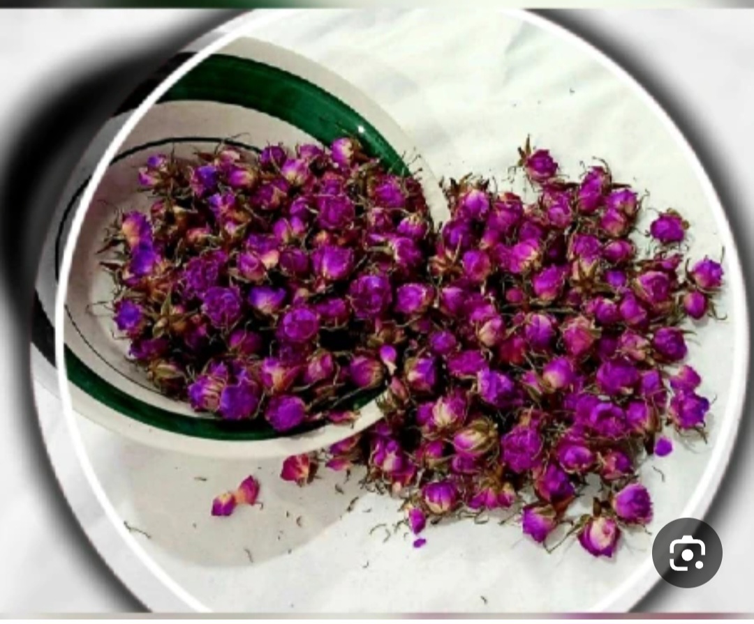 خرید مستقیم غنچه گل محمدی از کشاورز + کیفیت صادراتی