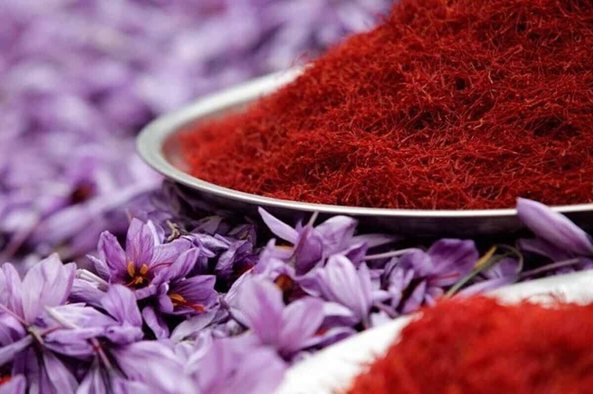 قیمت خرید زعفران قاینات + فروش ویژه