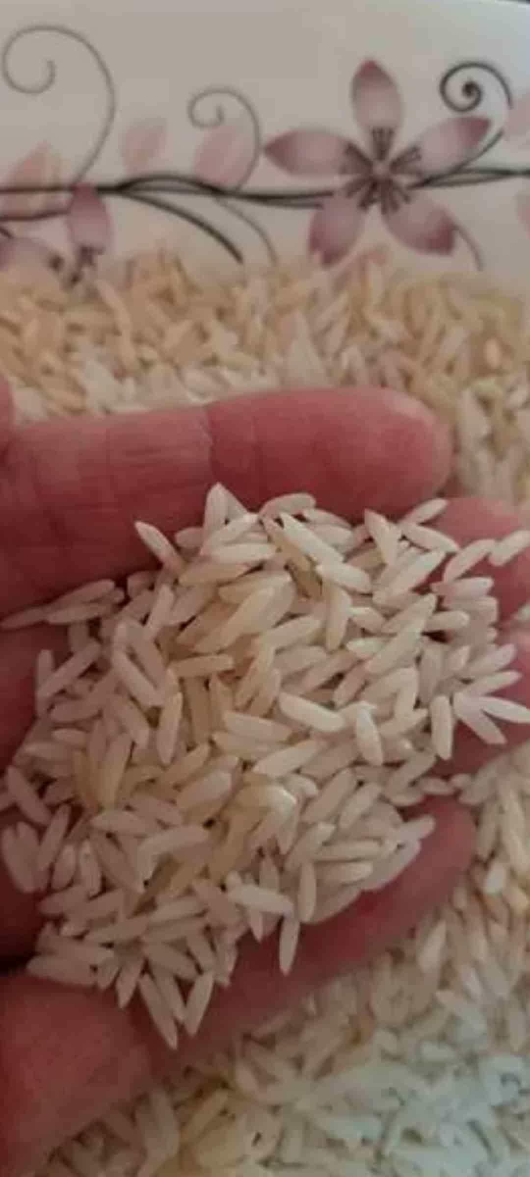 خرید برنج موون عرضه پایدار برنج شمال برای بازار داخلی و صادراتی