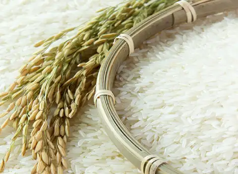 لیست قیمت خرید و به روز برنج کامفیروز در بسته بندی های مختلف