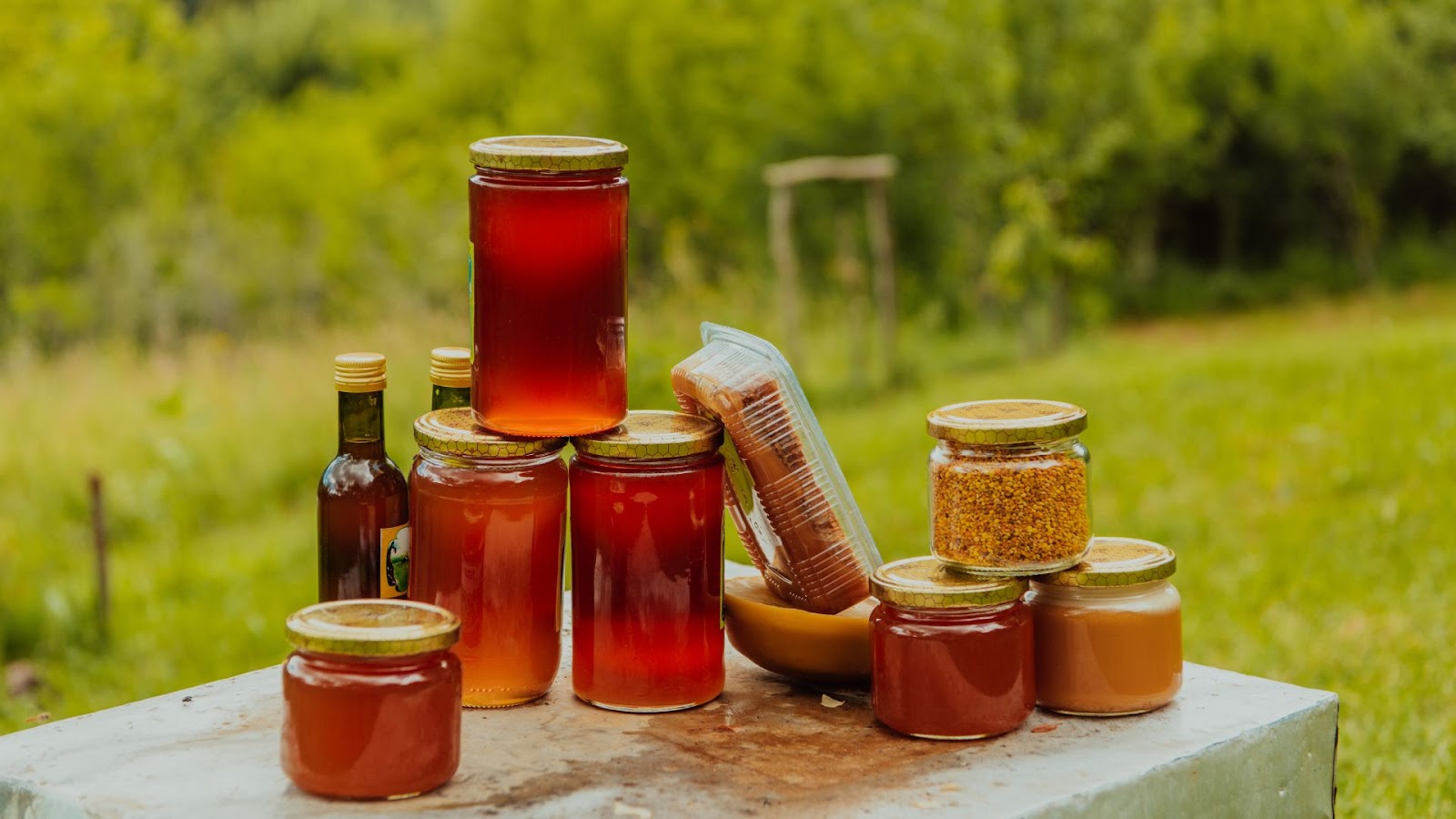 فروش عسل مرغوب + قیمت خرید به صرفه