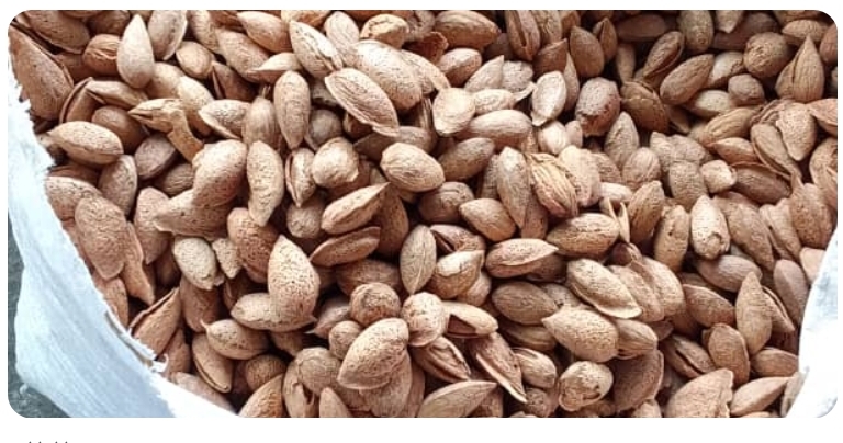 فروشگاه بادام درختی