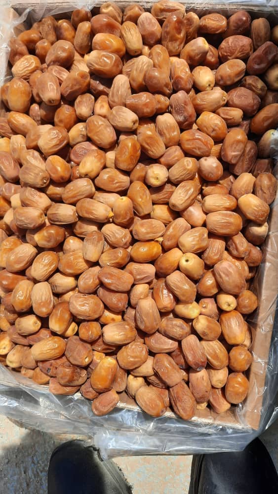 قیمت روز خرمای زاهدی + خرید