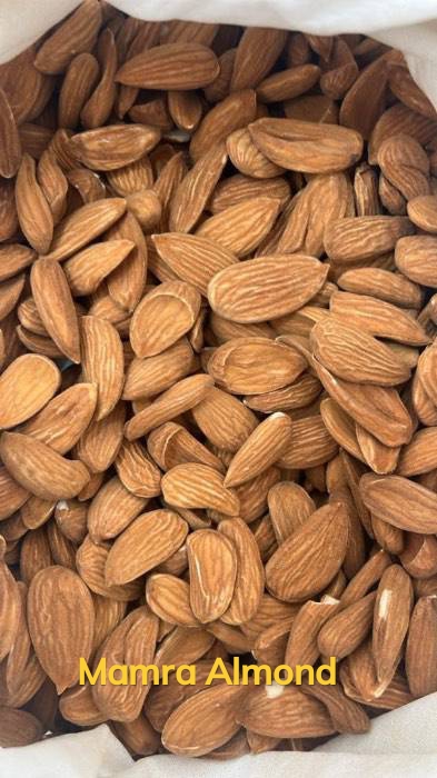 فروش بادام ارگانیک بن مناسب مصرف روزانه و تهیه شیر بادام خانگی