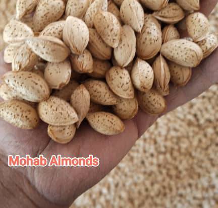 خرید آنلاین بادام محب چهارمحال +  ویژه فروش عمده