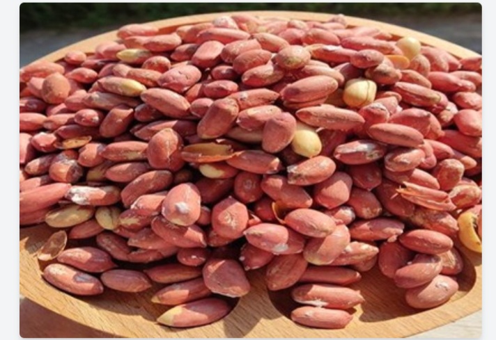 فروش مغز بادام زمینی تازه دشت مغان سورت شده و درجه یک + ارزان و مقرون به صرفه