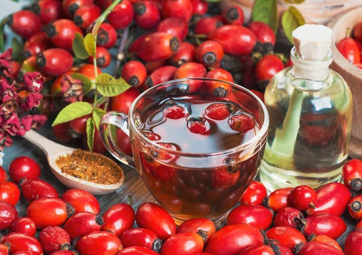 خرید میوه نسترن صادراتی + منبع طبیعی ویتامین C