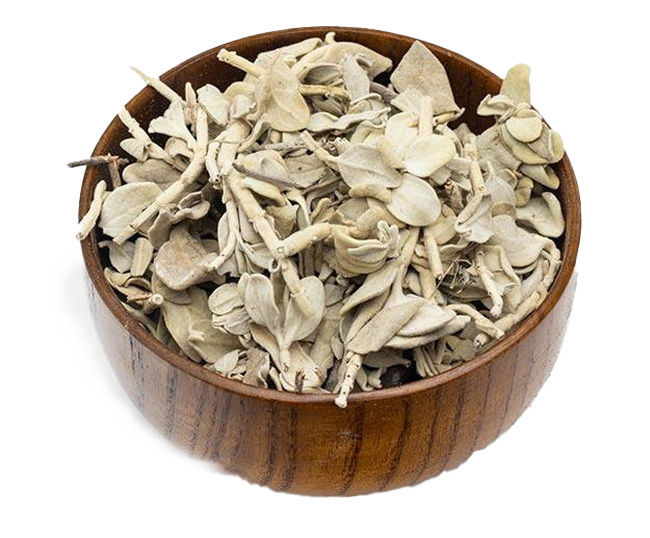فروش عمده پولک صادراتی + عطر دل انگیز و کیفیت ماندگار
