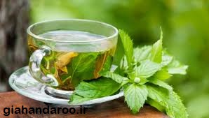 خرید و عمده فروشی دمنوش نعناع فلفلی پک 14 تایی
