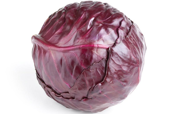 عرضه عمده کلم برگ قرمز تازه + بهترین قیمت