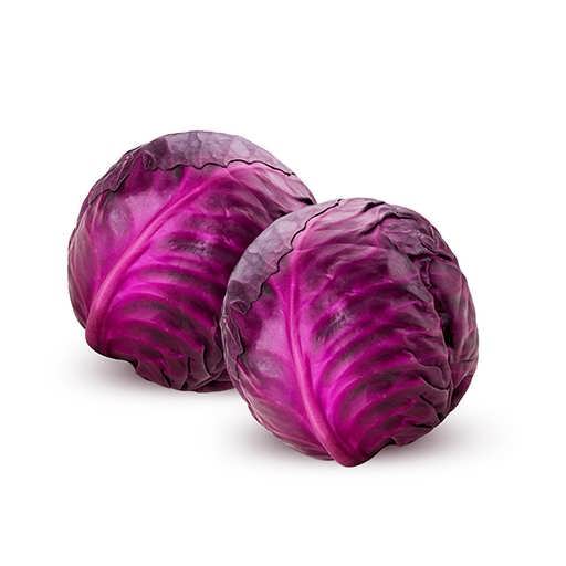 نرخ روز کلم قرمز صادراتی + ارسال سریع