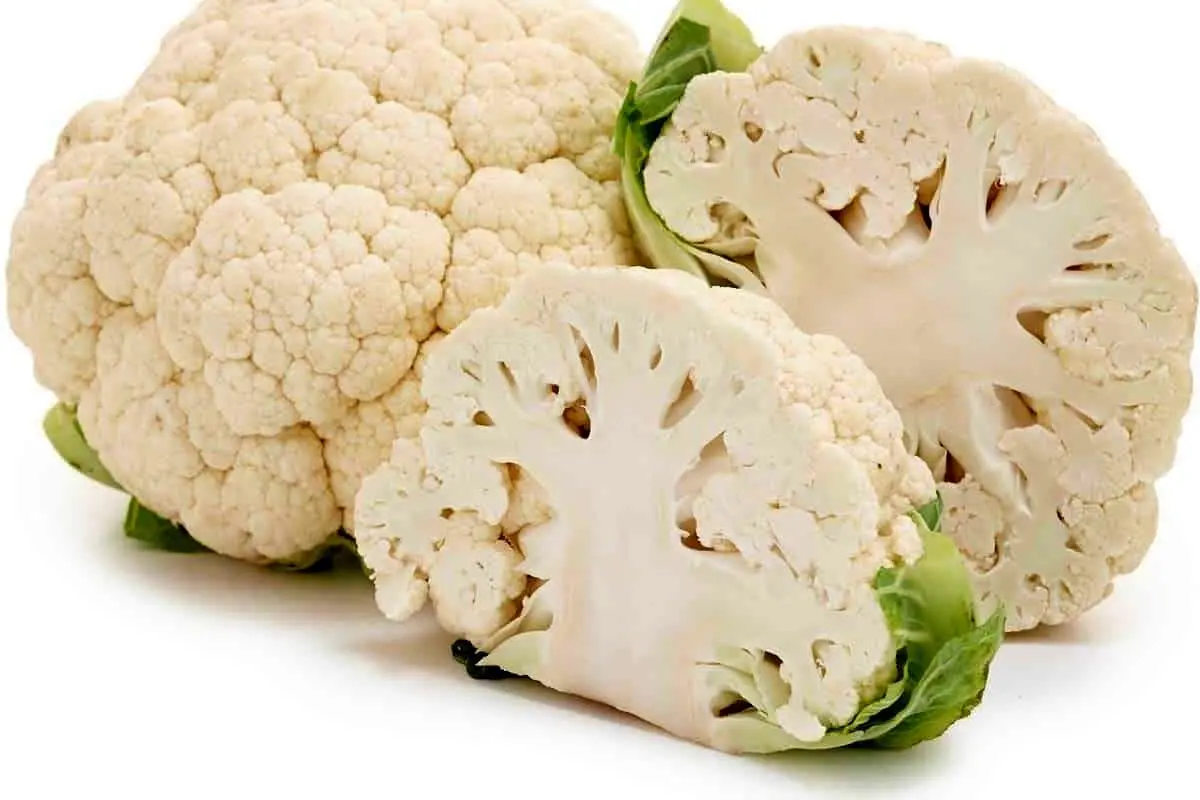 نرخ روز گل کلم دزفول + فروش عمده