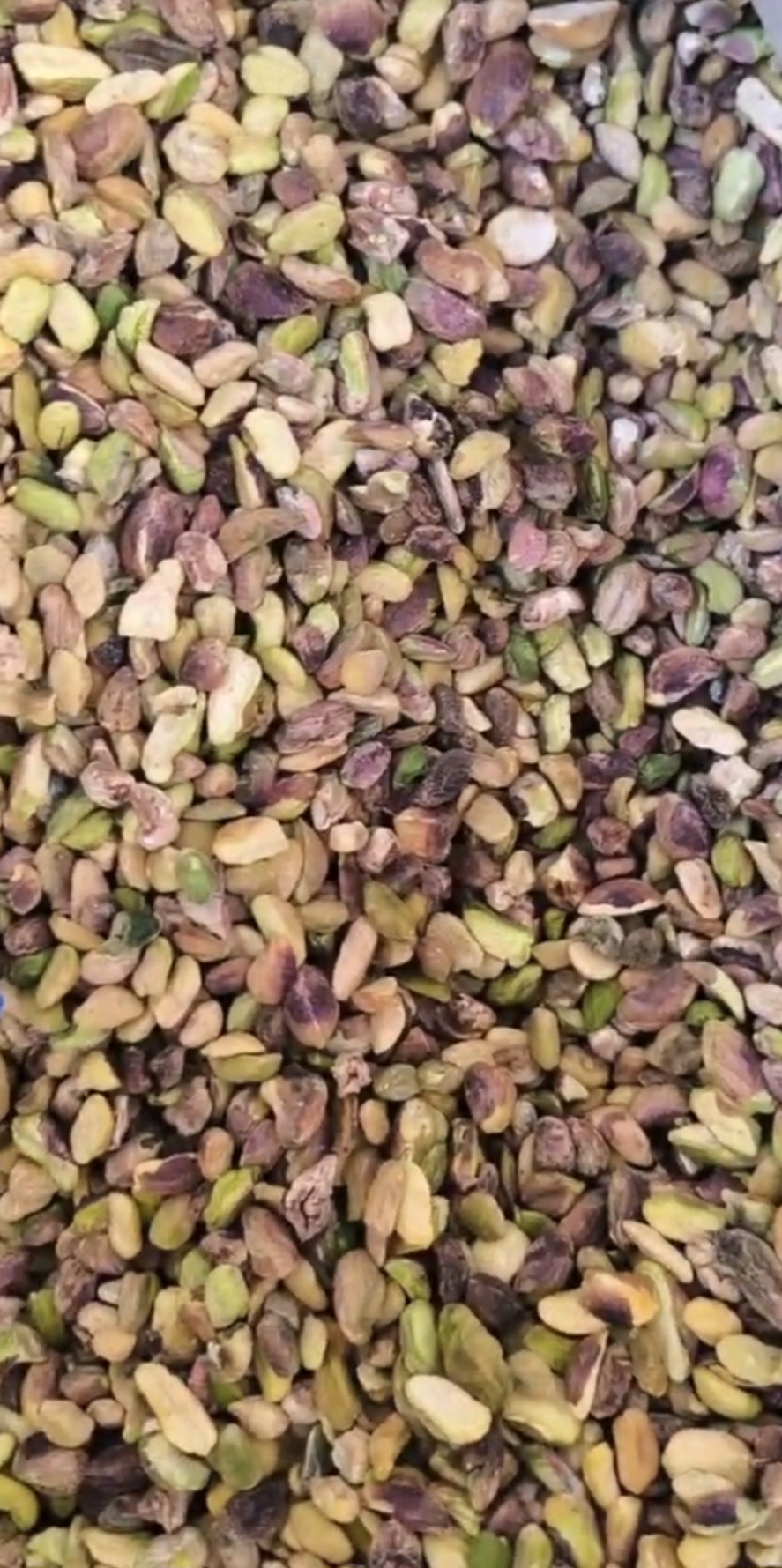 فروش عمده مغز پسته تازه + خرید به صرفه مستقیم از باغات رفسنجان