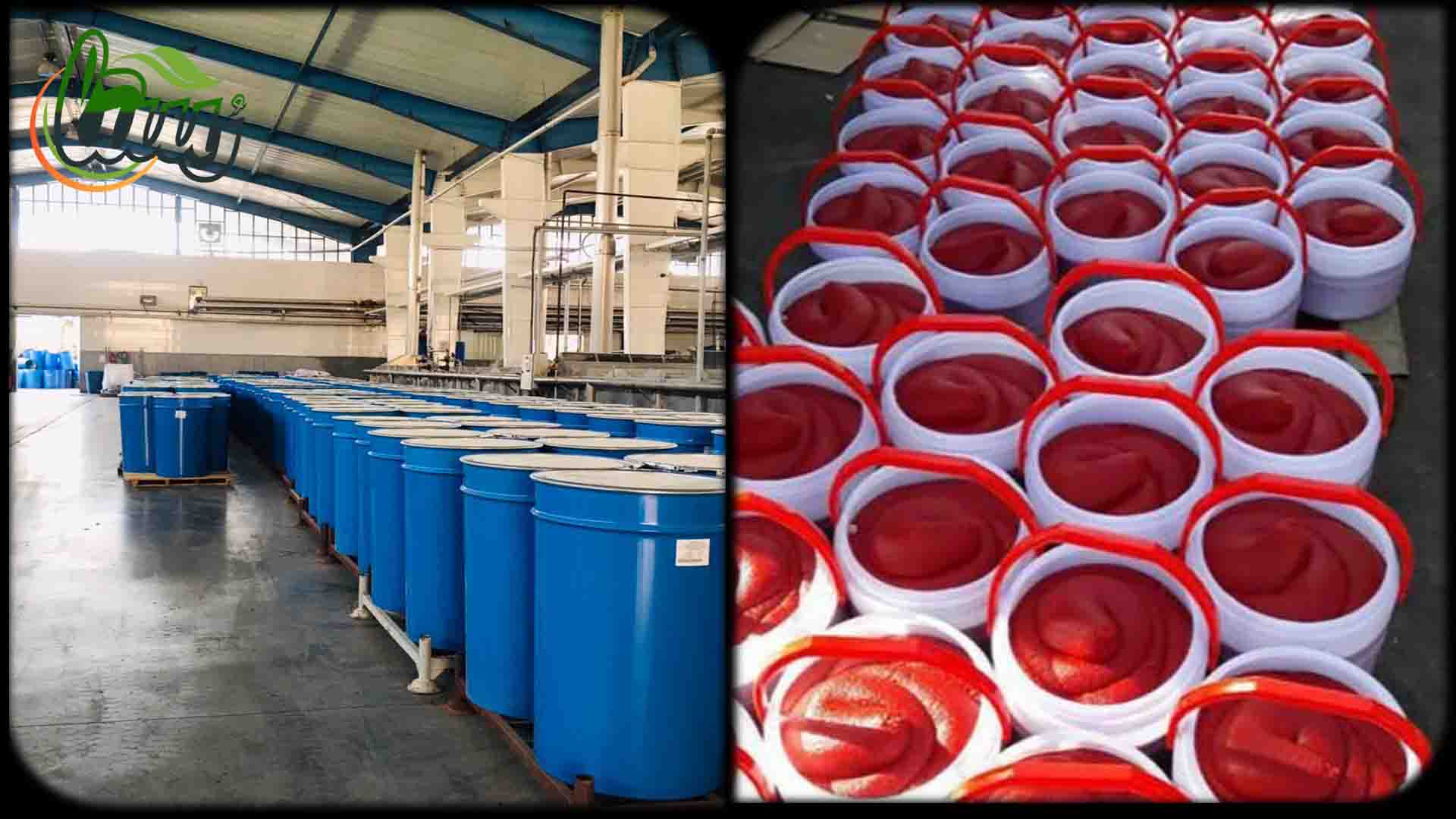 فروش با کیفیت ترین رب گوجه فرنگی اسپتیک رها دشت