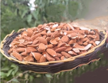 فروش ویژه مغز بادام شکسته مامایی مخصوص شیرینی پزی