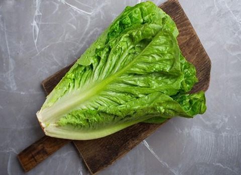 قیمت خرید کاهو رومانو صادراتی + عرضه مستقیم