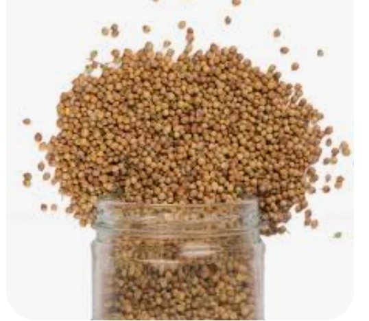 خرید بذر گشنیز از آناهیتا گشنیز مناسب ارسال به خاورمیانه