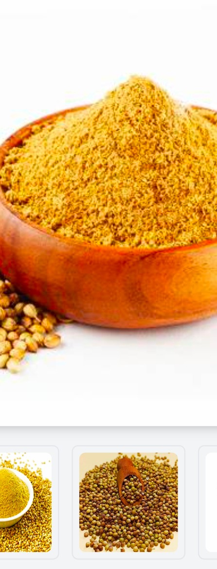 فروش بذر گشنیز آناهیتا جهت کشت به کشاورزان به صورت ویژه