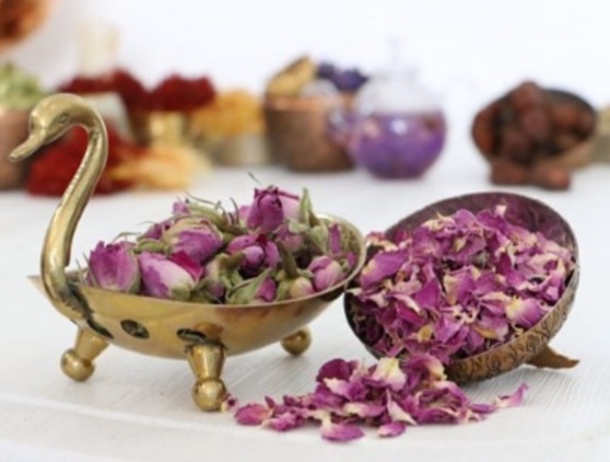 فروش عمده غنچه گل محمدی صادراتی + قیمت رقابتی