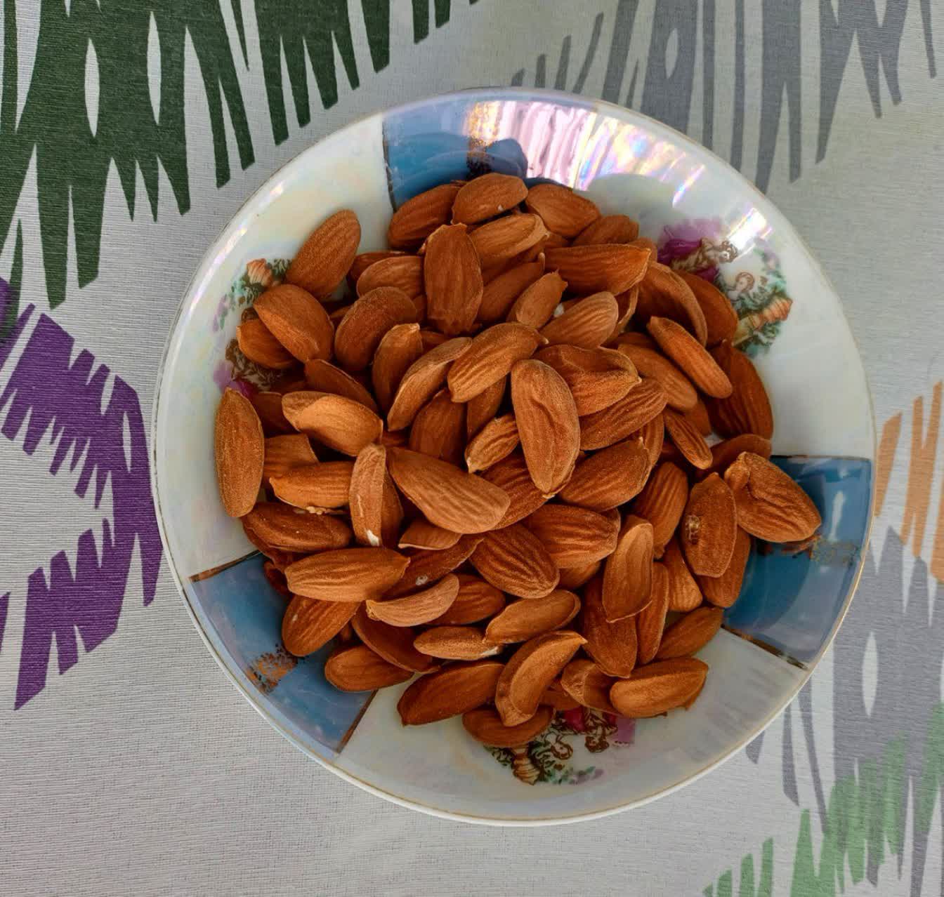 فروش و قیمت عمده مغز بادام درختی