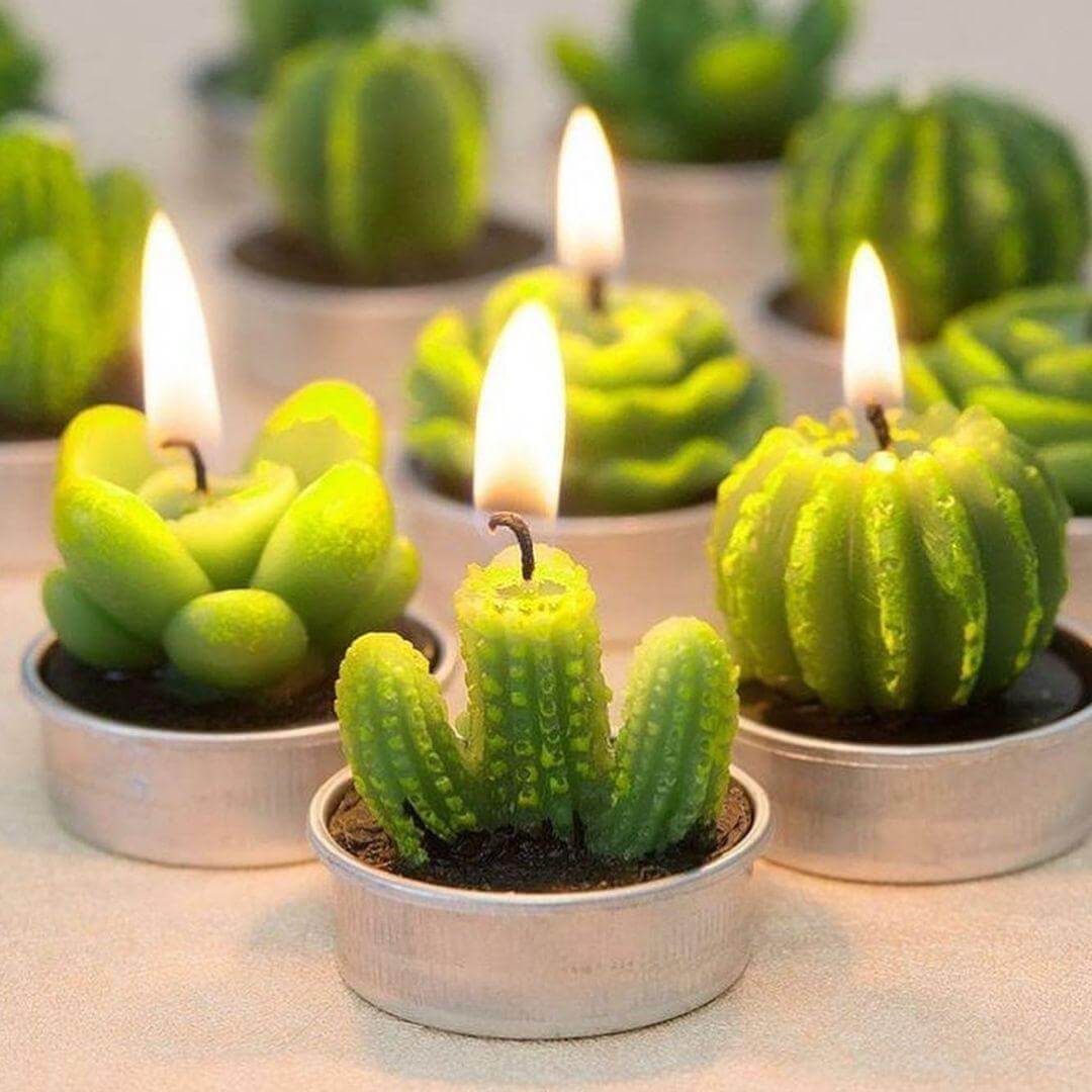 قیمت ارزان شمع وارمر طرح کاکتوس 4 تایی خرید باور نکردنی
