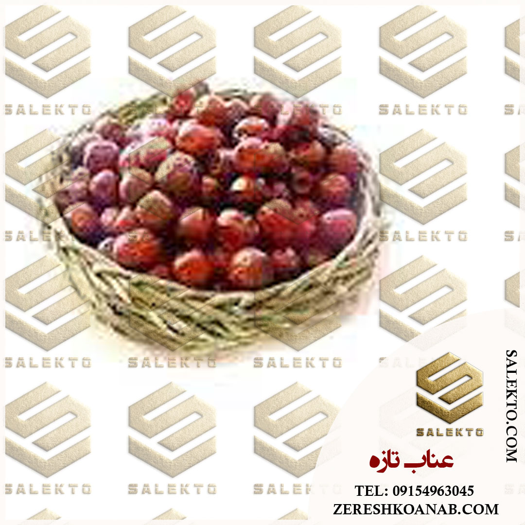 عناب امسالی ارگانیک بیرجند برای دمنوش‌های خنک و مغذی + فروش ویژه