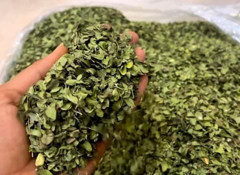 خرید + برگ گیاه آویشن باغی مرغوب