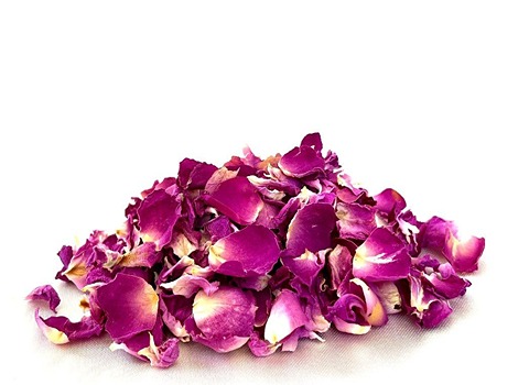 قیمت خرید گل محمدی مرغوب کاشان