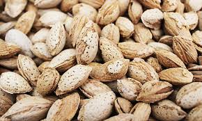 خرید عمده بادام درختی پوست‌ نازک تازه + مناسب آجیل فروشی ها