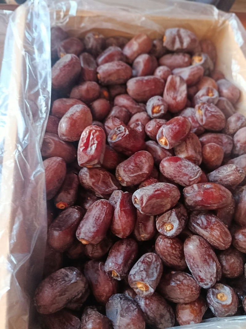 خرید عمده خرما کلوته جیرفت قرارداد تامین بلند مدت