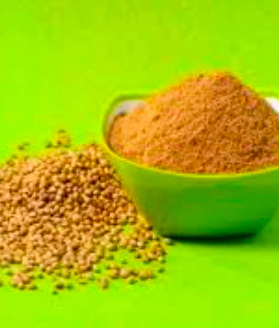 خرید و سفارش مستقیم بذر گشنیز آناهیتا