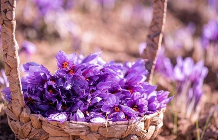 تصویر 4 از فروش عمده شربت زعفران گل محمدی ملل