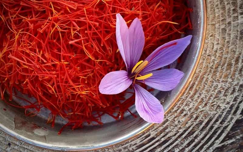 خرید و قیمت زعفران نگین ممتاز + فروش عمده