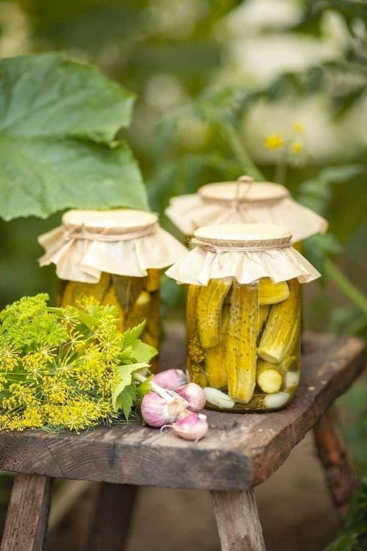 قیمت خرید خیار شور سرکه ای با فروش عمده