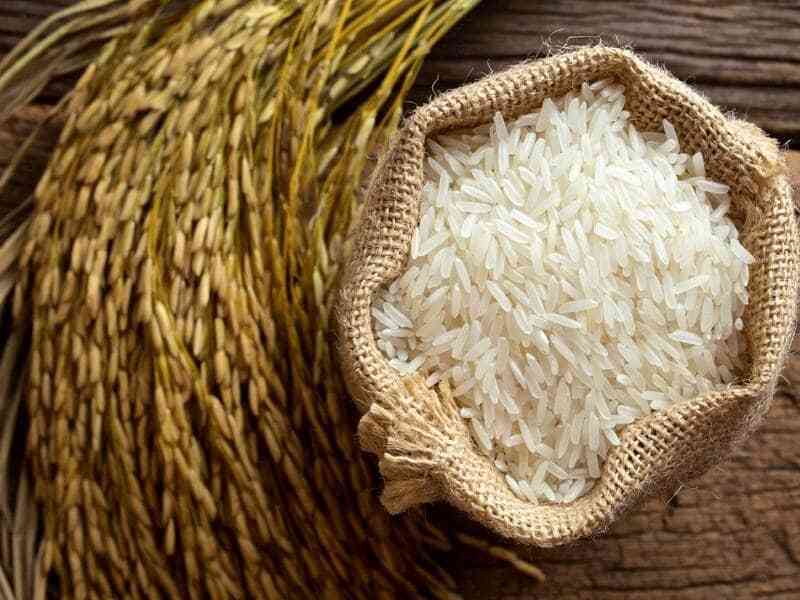 خرید برنج کامفیروز اعلا به صورت عمده و جزئی با تضمین کیفیت
