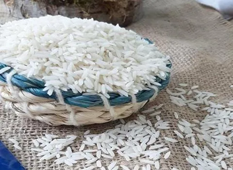 فروش ویژه برنج کامفیروز با قیمت منصفانه کیفیت عالی