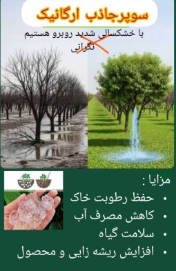پودر سوپر جاذب ارگانیک آب