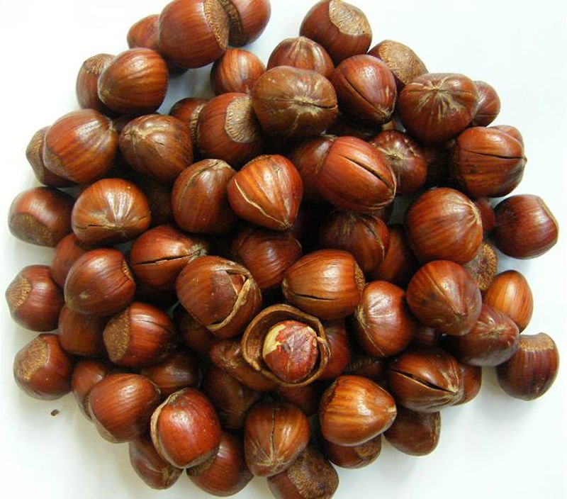 تصویر 2 از قیمت فندق بو داده + خرید باور نکردنی